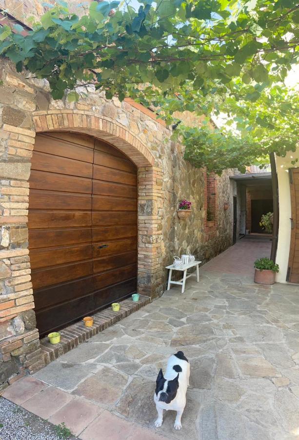 Depandance Sophia Apartment Montalcino Exterior photo